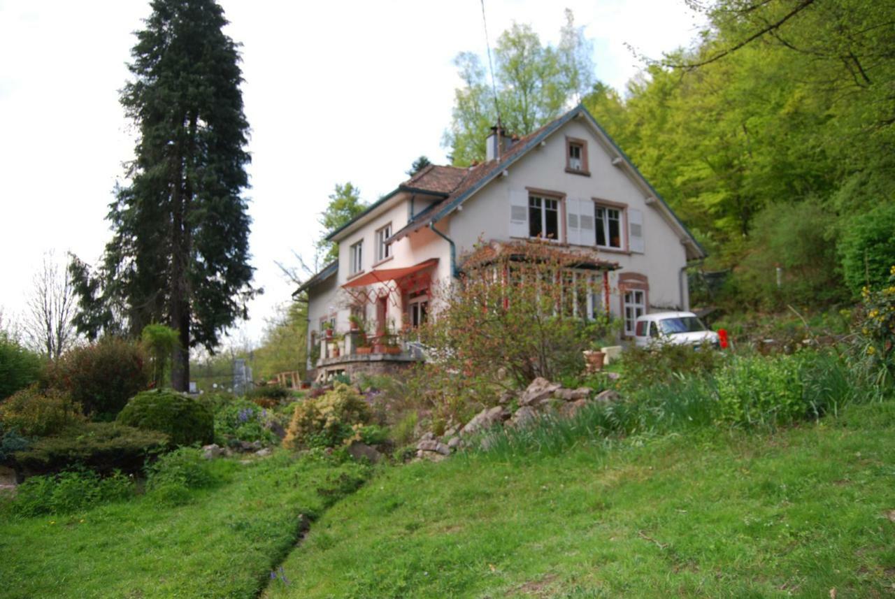 Villa Saint Ludel Natzwiller Extérieur photo